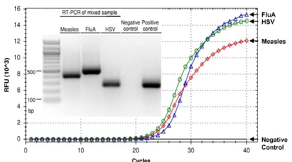 Quick-DNA/RNA Viral Kitの使用例