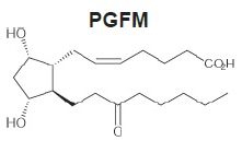 PGFM構造式