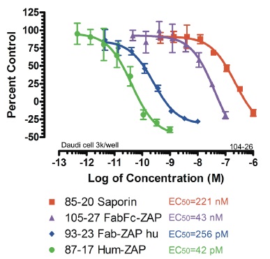 FabFc-ZAP humanによる細胞毒性効果