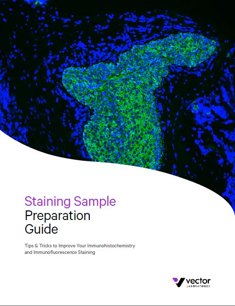 VECTOR Staining Sample Preparation Guide