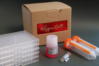 Happy Cell ASM Scale-Up Kit