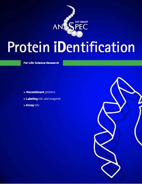Protein iDentification Catalog