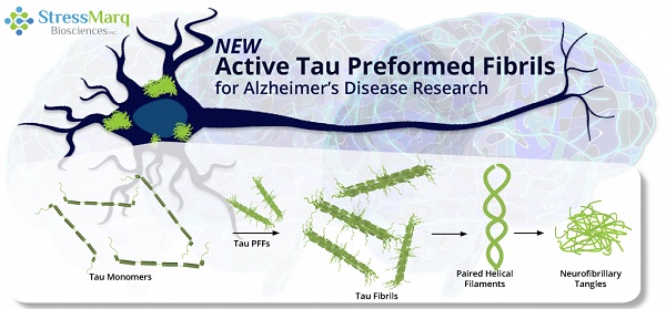 Active Human Recombinant Tau Mutant Proteinイメージ