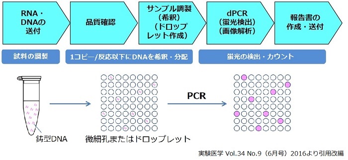 デジタルPCRの検出方法