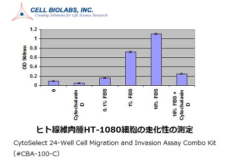 CBO社の細胞浸潤（Invasion）測定イメージ