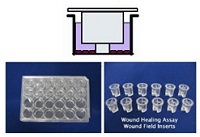 CBO社CytoSelect Wound Healing Assay Kit