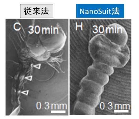 NanoSuit形状維持