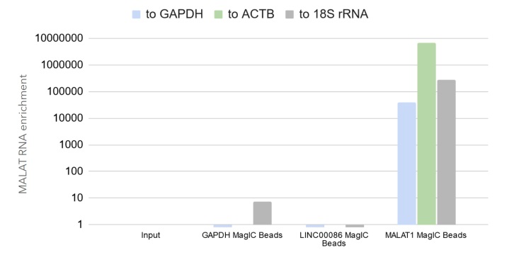 ターゲットRNAの濃縮の確認例
