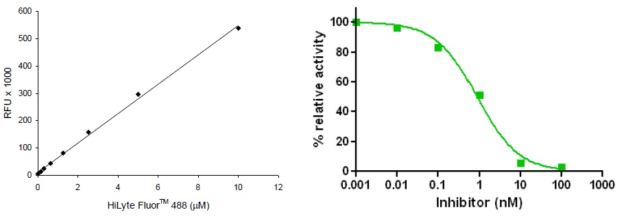 検量線、カテプシンK活性阻害曲線