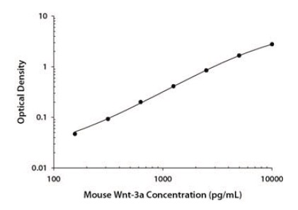 Mouse Wnt-3a DuoSet ELISA Kit検量線