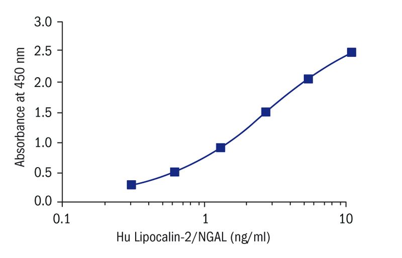 Human Lipocalin-2/NGAL ELISA Kitの標準曲線の例