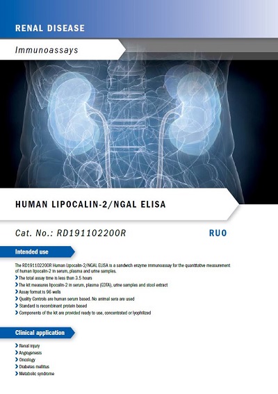 Human Lipocalin-2NGAL ELISA Kitのフライヤー