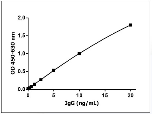 唾液試料中のTotal IgG定量ELISAキットの標準曲線例 