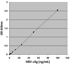 HBVcAg検量線