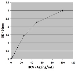 HCVcAg検量線