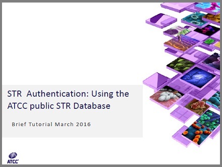 STR_database