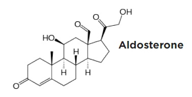Aldosteroneの化学構造式