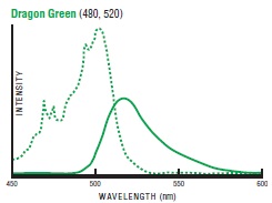Dragon Green fluorescent curve