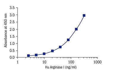 Human Arginase Liver Type ELISA Kit（#RD193028000R）の標準曲線例
