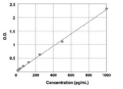  ヒトIL-6測定キットの標準曲線