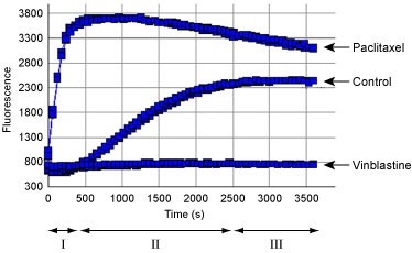 チューブリン重合反応の測定例