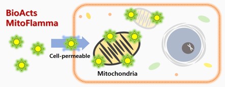 MitoFlammaシリーズの原理図