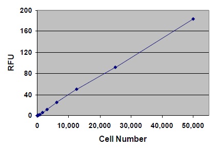 ヒト単球THP-1細胞の定量