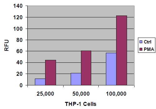 ヒト単球THP-1細胞のHUVEC単層への接着