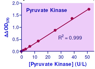 ピルビン酸キナーゼ検量線・比色法