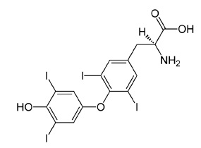 Thyroxine (T<sub>4</sub>)