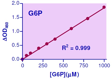 G6P検量線・比色法