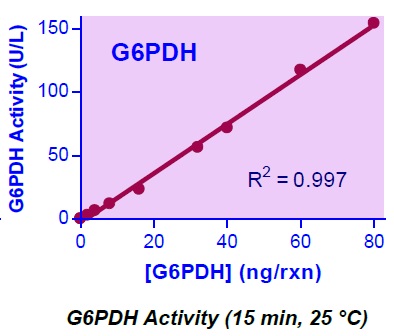 G6PDH検量線例