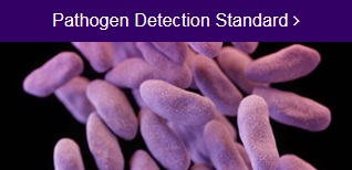 Pathogen Detection Standards
