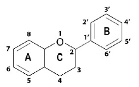 Flavonoids構造