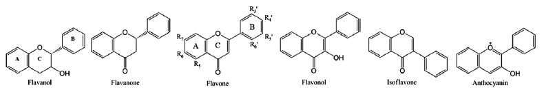 Flavonoids検量線
