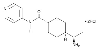 Y-27632 (hydrochloride)