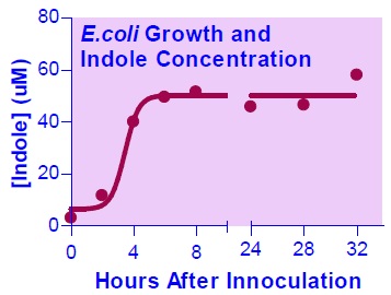 E.coli増殖とインドール濃度測定例