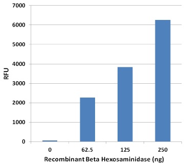 組換え体β-ヘキソサミニダーゼの測定例