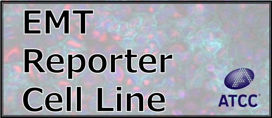 ACC社 EMT Reporter Cell Lineシリーズ