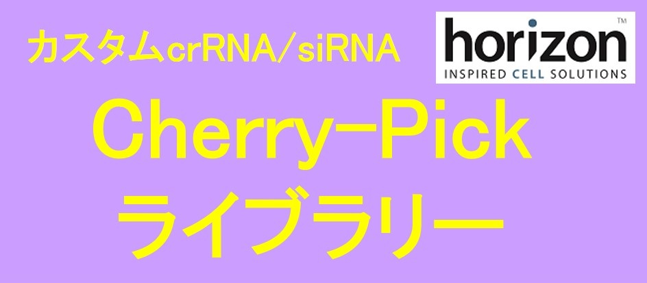 DHA社 カスタムcrRNA/siRNA（Cherry-Pick）ライブラリー
