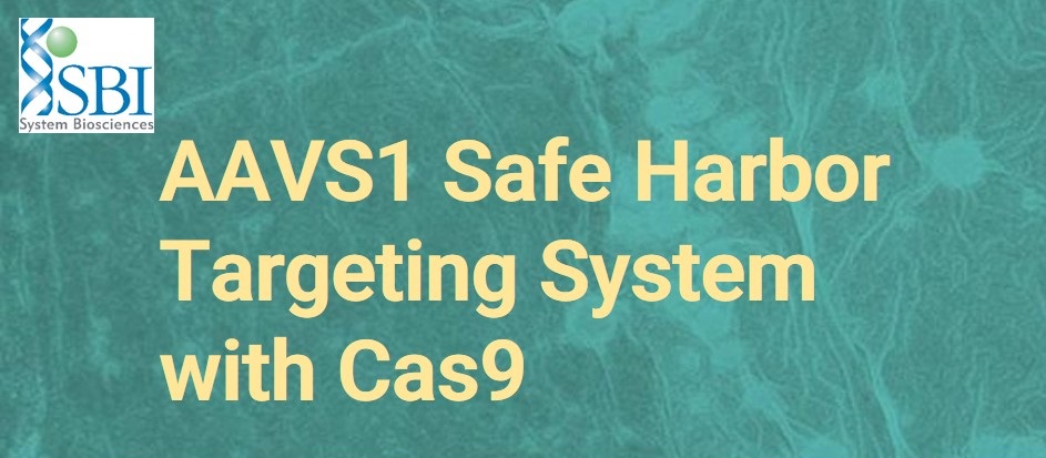 SBI社 AAVS1 Safe Harbor Targeting System with Cas9