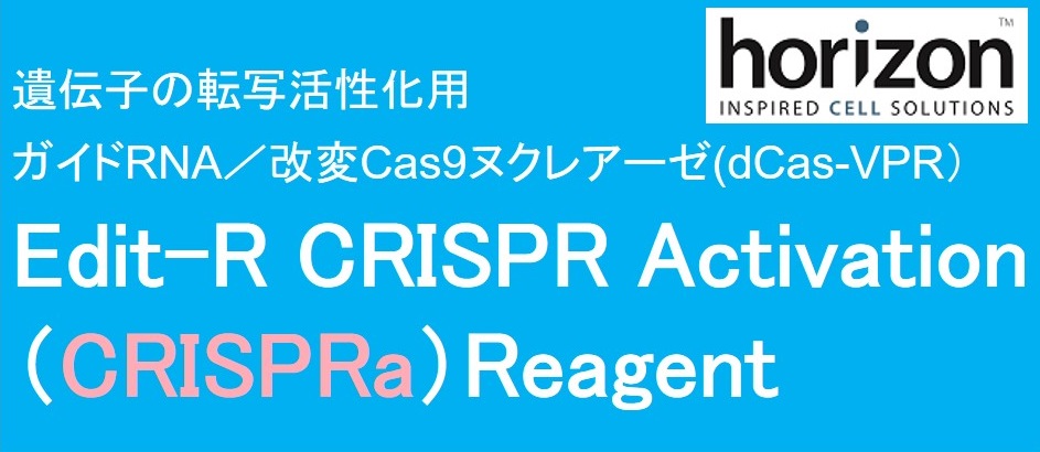 DHA社 Edit-R CRISPR Activation（CRISPRa）Reagent
