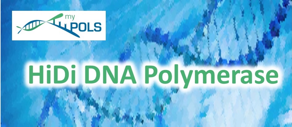 MYP社 HiDi DNA Polymerase