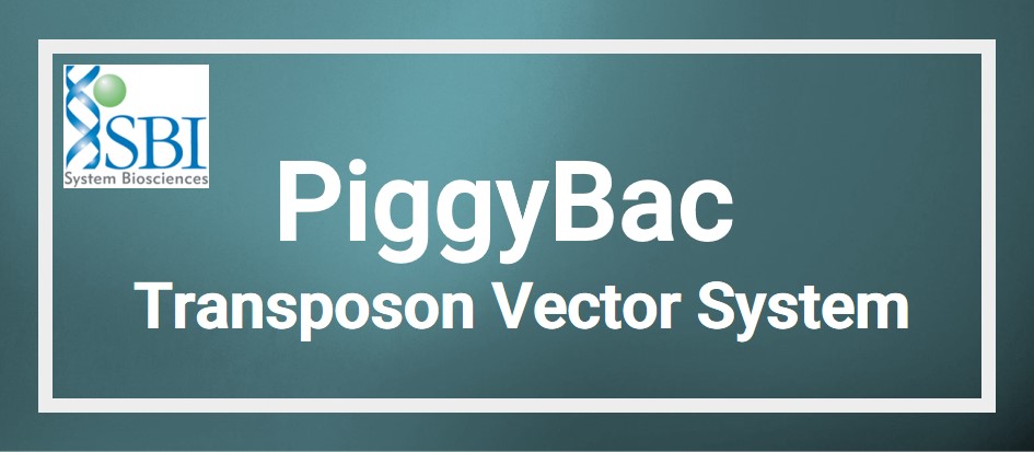 SBI社 PiggyBac Transposon Vector System