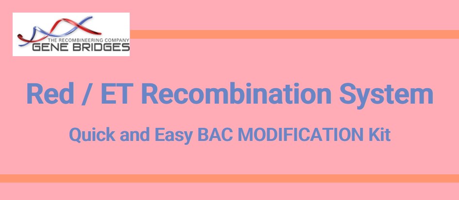 GBR社 Red / ET Recombination System Quick and Easy BAC MODIFICATION Kit