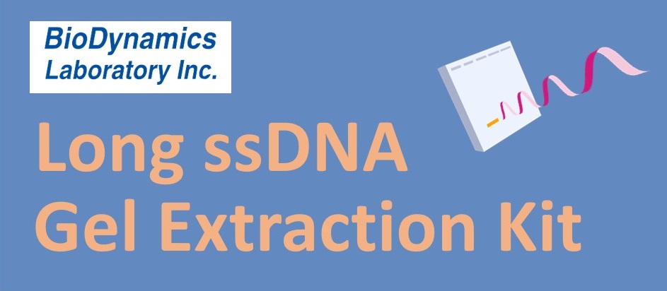 BDL社 Long ssDNA Gel Extraction Kit