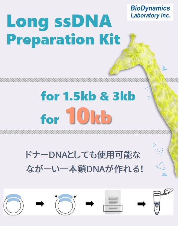 BDL社 Long ssDNA Preparation Kit