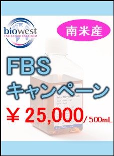 [BWT]南米産FBS特別価格キャンペーン[～2021/02/26] 