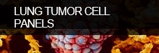Lung tumor cell panels