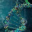 Quantitative Cell Line DNA 